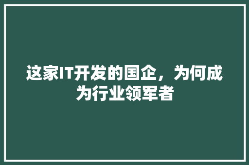 这家IT开发的国企，为何成为行业领军者 神马SEO