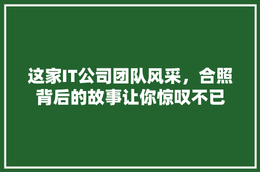 这家IT公司团队风采，合照背后的故事让你惊叹不已