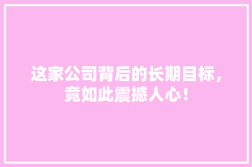 这家公司背后的长期目标，竟如此震撼人心！ 神马SEO