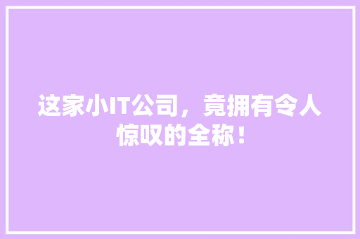 这家小IT公司，竟拥有令人惊叹的全称！