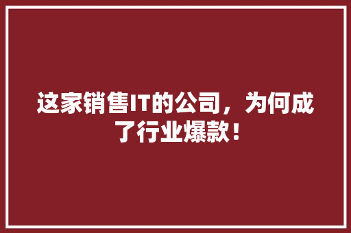 这家销售IT的公司，为何成了行业爆款！ SEO关键词