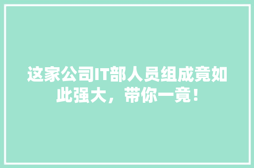 这家公司IT部人员组成竟如此强大，带你一竟！ 搜狗SEO