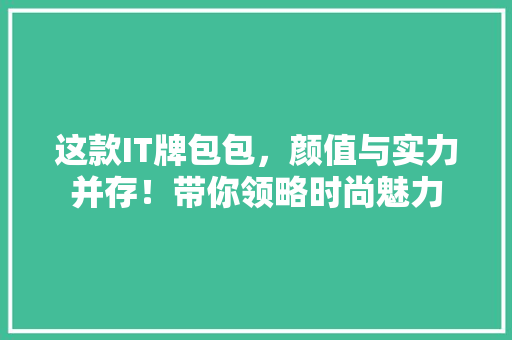 这款IT牌包包，颜值与实力并存！带你领略时尚魅力 网站建设公司