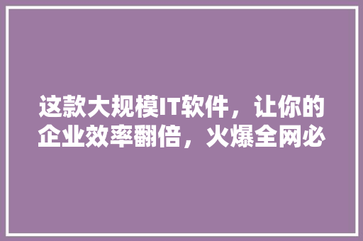 这款大规模IT软件，让你的企业效率翻倍，火爆全网必看！ 百度SEO