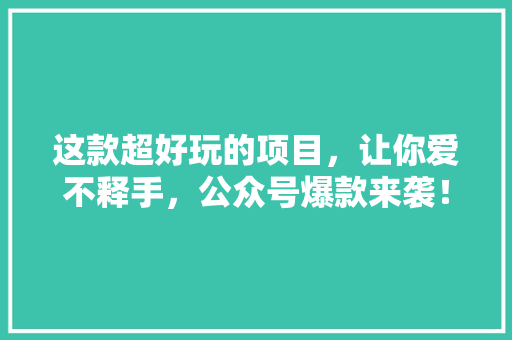 这款超好玩的项目，让你爱不释手，公众号爆款来袭！