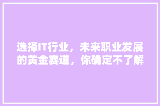 选择IT行业，未来职业发展的黄金赛道，你确定不了解一下