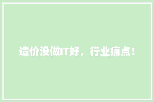 造价没做IT好，行业痛点！