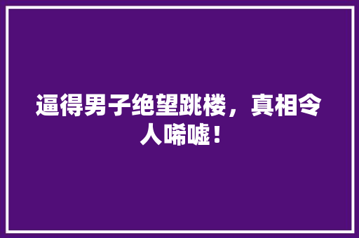 逼得男子绝望跳楼，真相令人唏嘘！