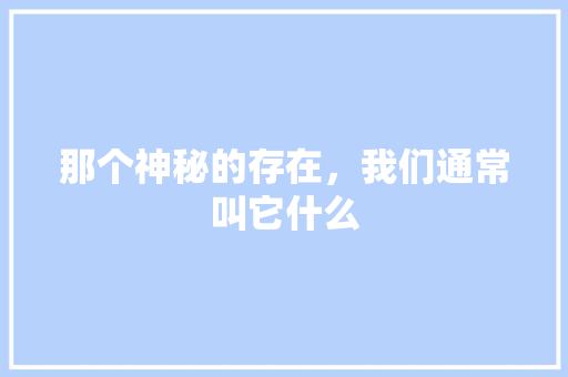 那个神秘的存在，我们通常叫它什么 百度SEO