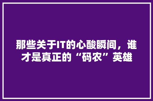 那些关于IT的心酸瞬间，谁才是真正的“码农”英雄