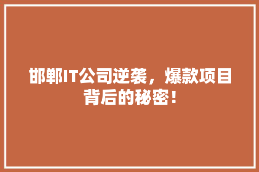 邯郸IT公司逆袭，爆款项目背后的秘密！