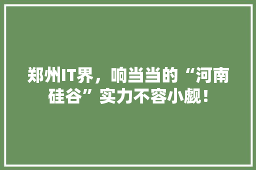 郑州IT界，响当当的“河南硅谷”实力不容小觑！ 百度SEO