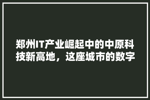 郑州IT产业崛起中的中原科技新高地，这座城市的数字化未来！