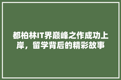 都柏林IT界巅峰之作成功上岸，留学背后的精彩故事