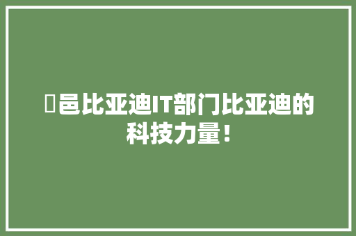 鄠邑比亚迪IT部门比亚迪的科技力量！