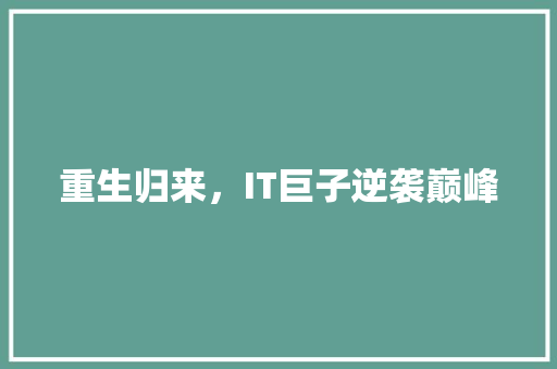 重生归来，IT巨子逆袭巅峰