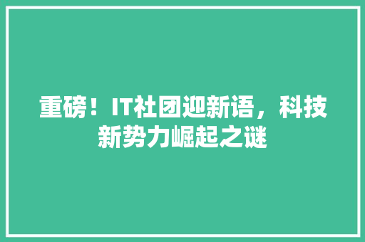 重磅！IT社团迎新语，科技新势力崛起之谜