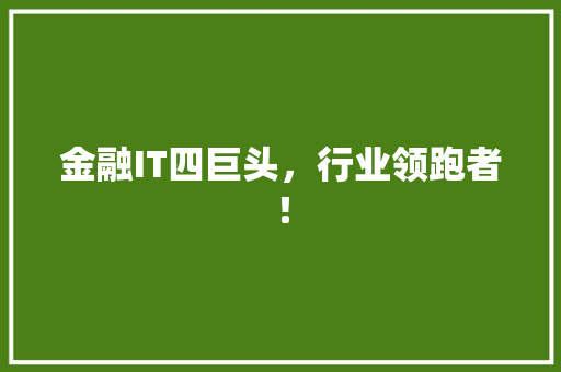 金融IT四巨头，行业领跑者！