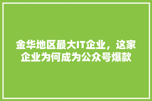 金华地区最大IT企业，这家企业为何成为公众号爆款 百度SEO