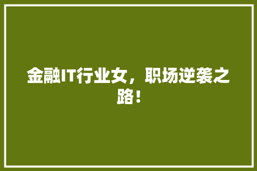 金融IT行业女，职场逆袭之路！