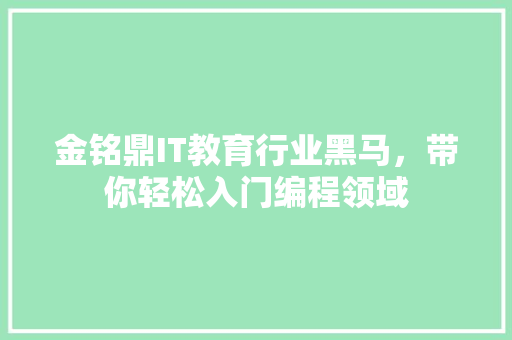 金铭鼎IT教育行业黑马，带你轻松入门编程领域
