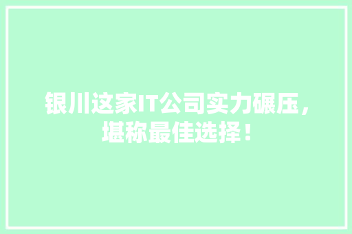 银川这家IT公司实力碾压，堪称最佳选择！