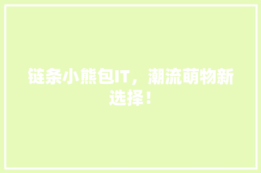 链条小熊包IT，潮流萌物新选择！