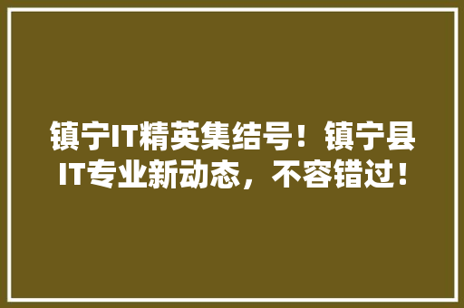 镇宁IT精英集结号！镇宁县IT专业新动态，不容错过！