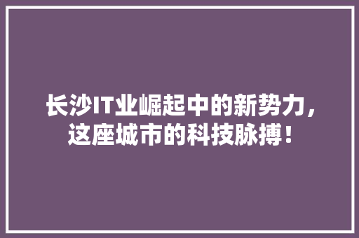 长沙IT业崛起中的新势力，这座城市的科技脉搏！ 网站建设公司