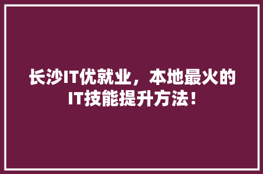 长沙IT优就业，本地最火的IT技能提升方法！ 网站建设公司