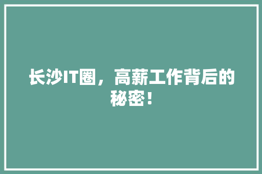 长沙IT圈，高薪工作背后的秘密！ 网站建设公司