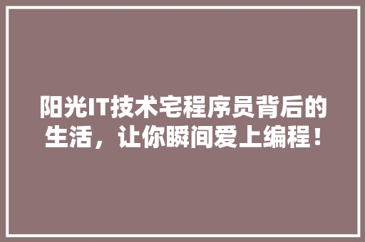 阳光IT技术宅程序员背后的生活，让你瞬间爱上编程！