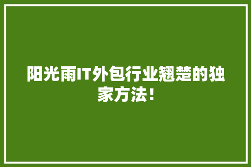 阳光雨IT外包行业翘楚的独家方法！