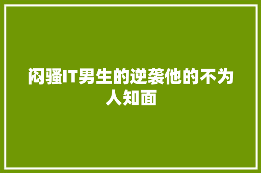 闷骚IT男生的逆袭他的不为人知面