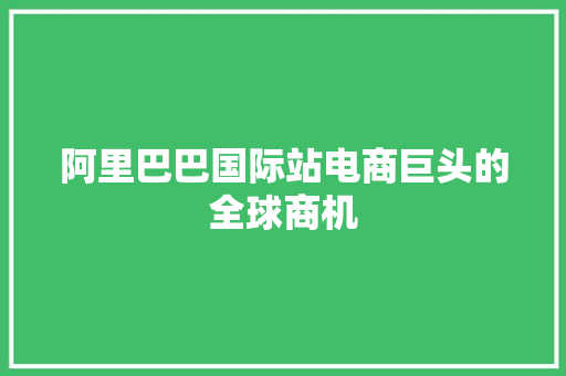 阿里巴巴国际站电商巨头的全球商机