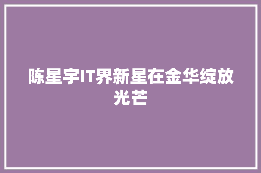 陈星宇IT界新星在金华绽放光芒