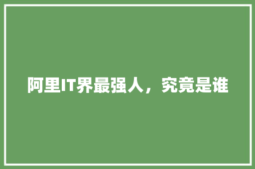 阿里IT界最强人，究竟是谁