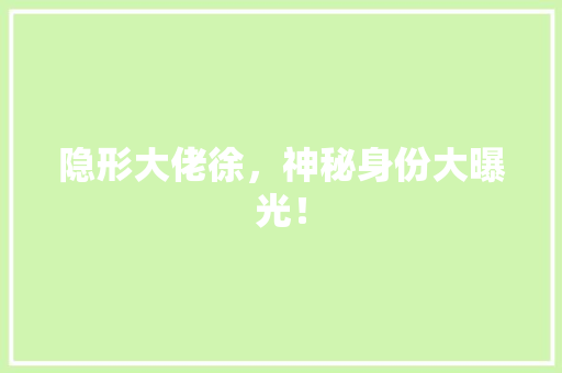 隐形大佬徐，神秘身份大曝光！