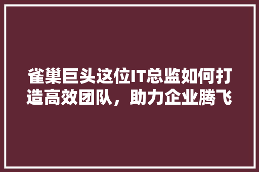 雀巢巨头这位IT总监如何打造高效团队，助力企业腾飞