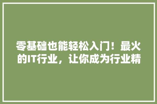 零基础也能轻松入门！最火的IT行业，让你成为行业精英！
