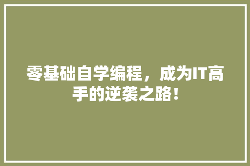 零基础自学编程，成为IT高手的逆袭之路！