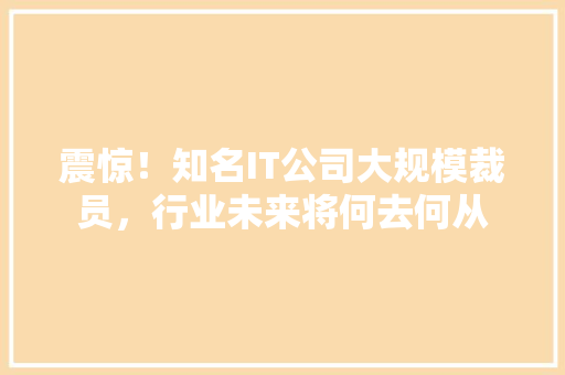 震惊！知名IT公司大规模裁员，行业未来将何去何从