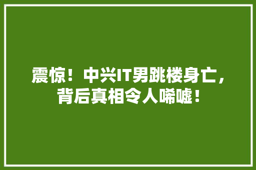 震惊！中兴IT男跳楼身亡，背后真相令人唏嘘！