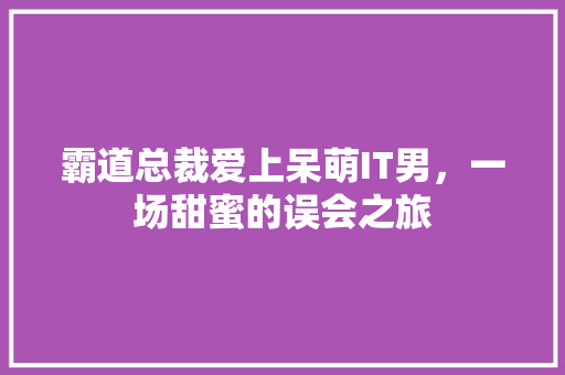 霸道总裁爱上呆萌IT男，一场甜蜜的误会之旅