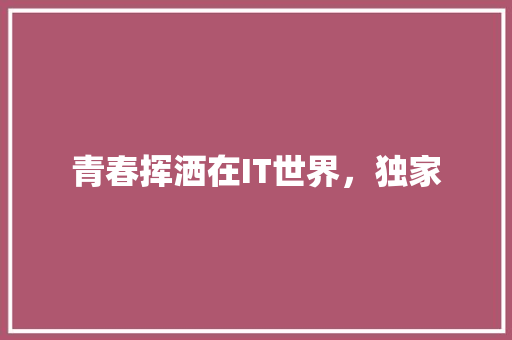 青春挥洒在IT世界，独家