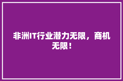 非洲IT行业潜力无限，商机无限！