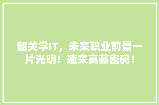 韶关学IT，未来职业前景一片光明！速来高薪密码！
