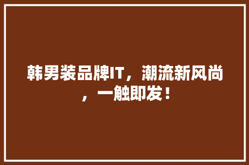 韩男装品牌IT，潮流新风尚，一触即发！