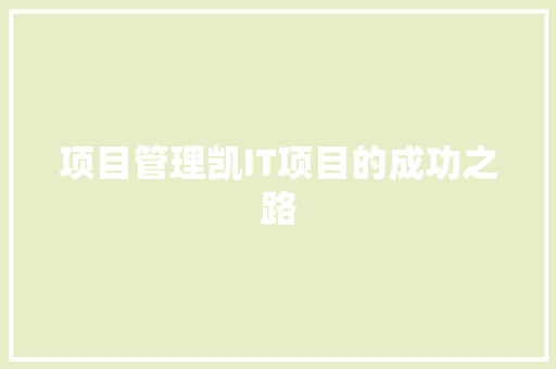 项目管理凯IT项目的成功之路