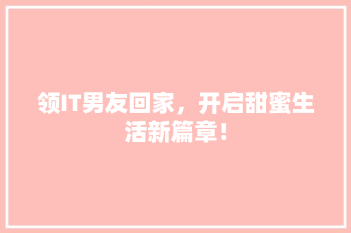 领IT男友回家，开启甜蜜生活新篇章！